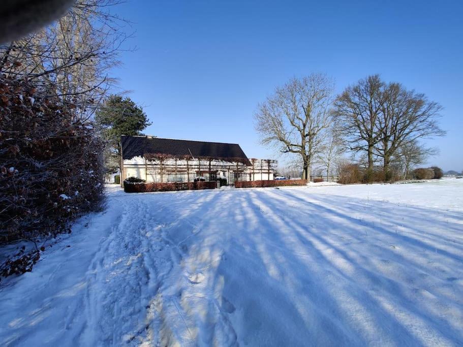 The Horst Cottage Holsbeek Eksteriør bilde