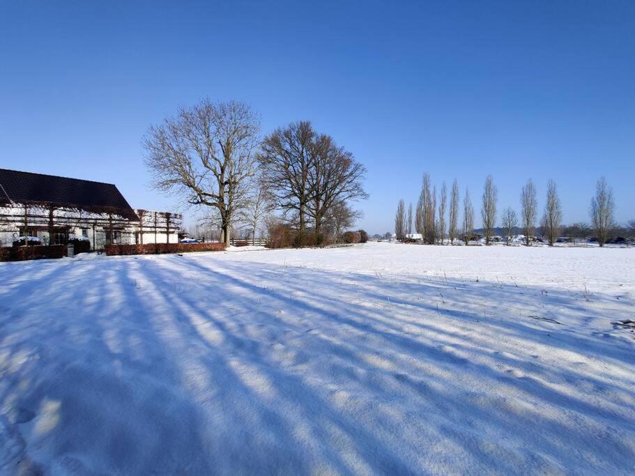 The Horst Cottage Holsbeek Eksteriør bilde