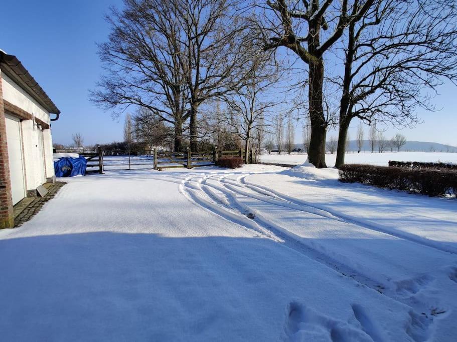 The Horst Cottage Holsbeek Eksteriør bilde