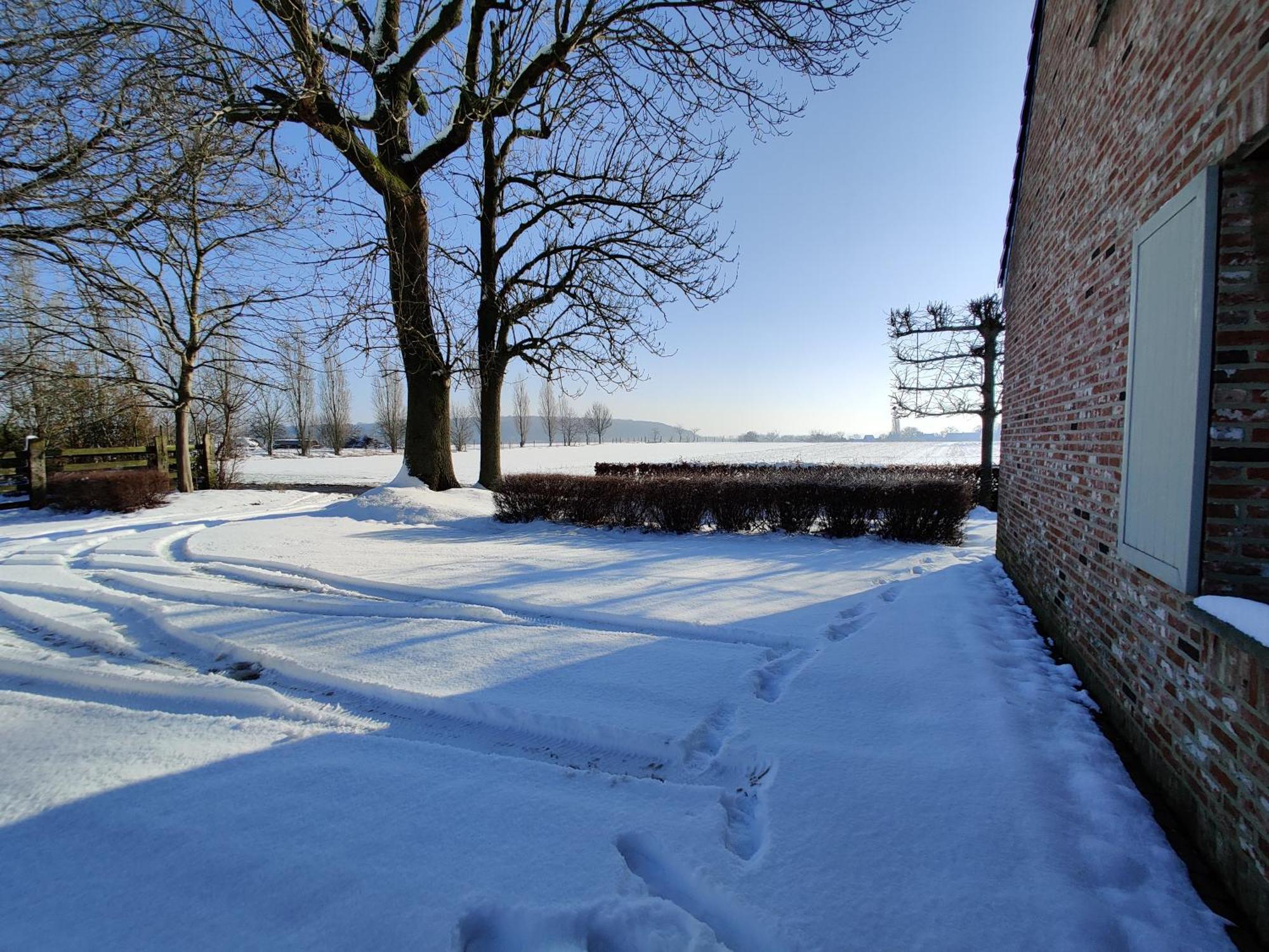The Horst Cottage Holsbeek Eksteriør bilde